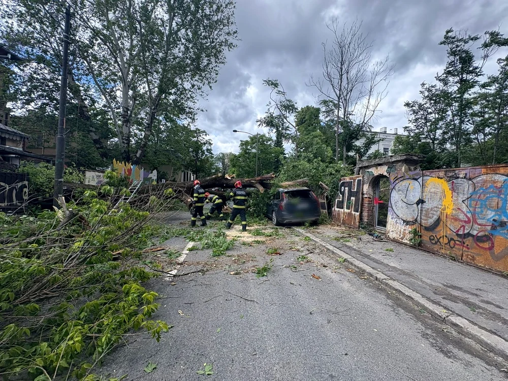 Copac prăbușit în București FOTO ISU 