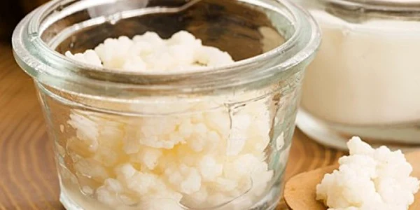 kefir