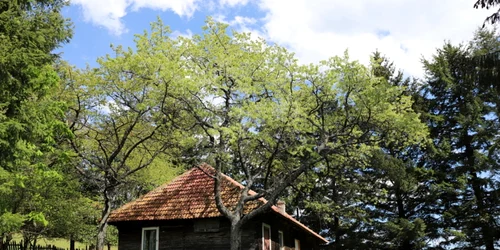 satul ursici foto daniel guta adevarul