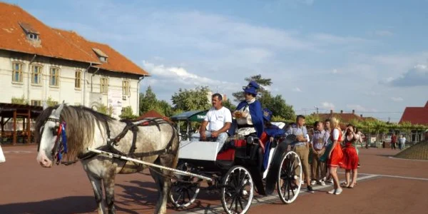 festivalul berii la turnu severin FOTO Corina Macavei 