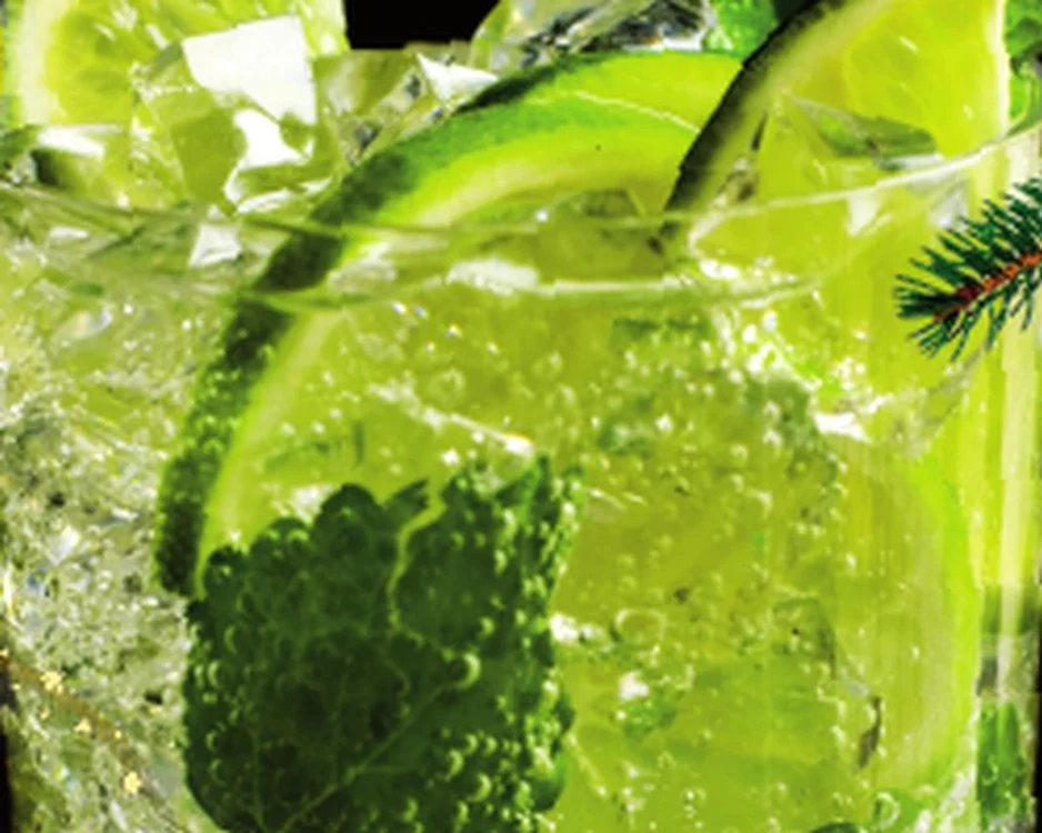 1366899625 7775cocktail 20mojito jpeg