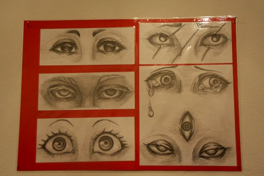 adolescenta acceptata la 5 facultati de game art Bistrita  2