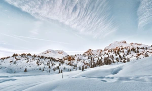 munte zapada iarna pexels jpg