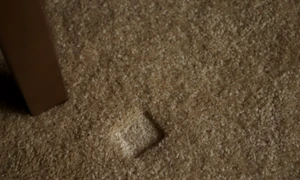 Cum scapi de urmele lasate de greutatea mobilei pe covor, foto Shutterstock jpg