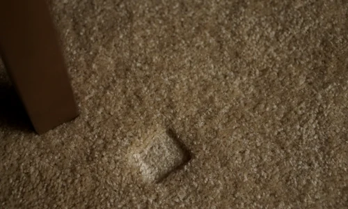 Cum scapi de urmele lasate de greutatea mobilei pe covor, foto Shutterstock jpg