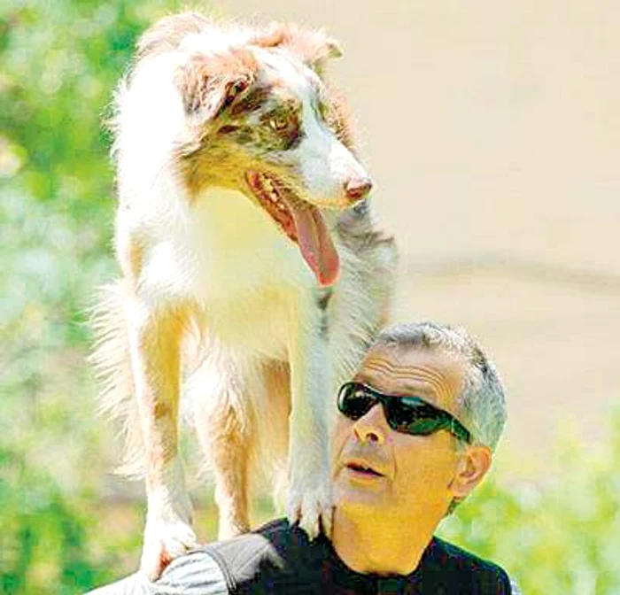 Bruno Icobeţ, câştigător la «Românii au talent» (Fotografii: Pro TV, PetFoto)