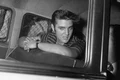 elvis jpg