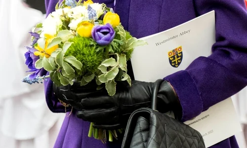 3 profimedia 0669711940 jpg jpeg