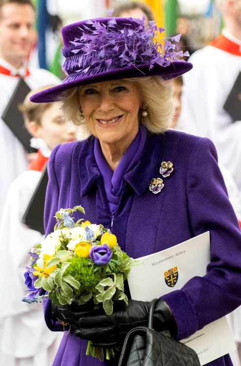 3 profimedia 0669711940 jpg jpeg