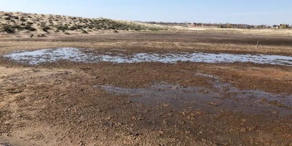 Poluare în zona plajei Vadu FOTO Călin Gavrilaş