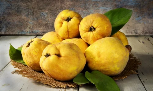 1 shutterstock 385839496 jpg jpeg