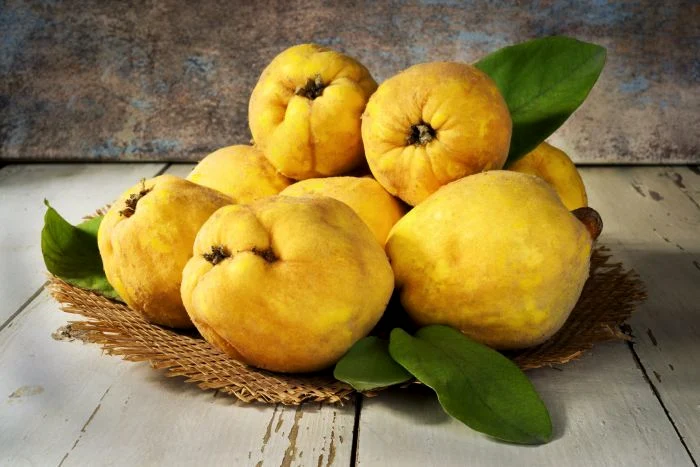 1 shutterstock 385839496 jpg jpeg