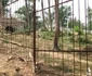 Animale ținute în cuști, în condiții necorespunzătoare FOTO: Facebook / Garda Națională de Mediu
