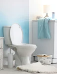 cateva detalii importante la alegerea vasului de wc  1654350490 jpg