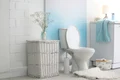 cateva detalii importante la alegerea vasului de wc  1654350490 jpg