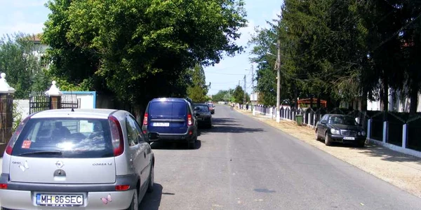 gogoşu mehedinţi FOTO Corina Macavei 