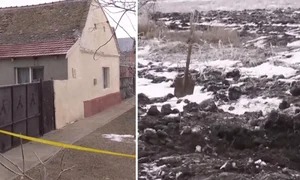 crima socanta in timis un baiat de 15 ani a fost ucis si ingropat pe un camp de patru copii 1039937 jpg