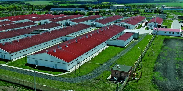 Fermele din Danemarca aşteaptă agricultori români 