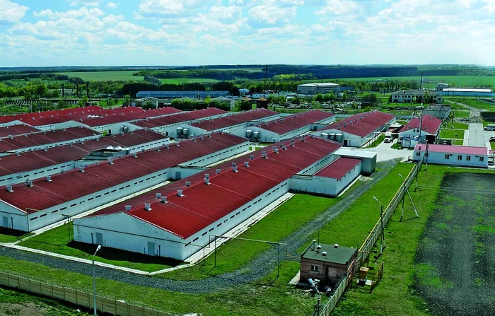Fermele din Danemarca aşteaptă agricultori români