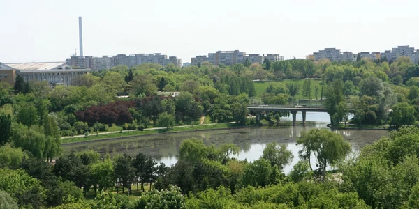 parcul tineretului defrisare