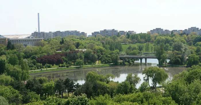 Mărioara Micşunescu a cerut acordul Primăriei Capitalei pentru a defrişa 20.000 mp din Parcul Tineretului FOTO Adevărul