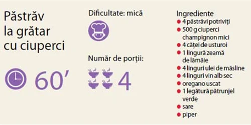 info