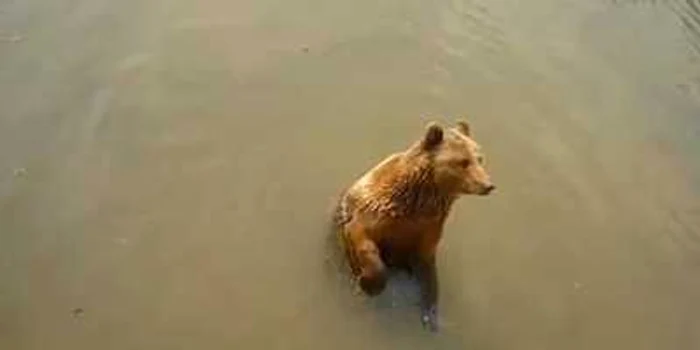 Foto captură YouTube