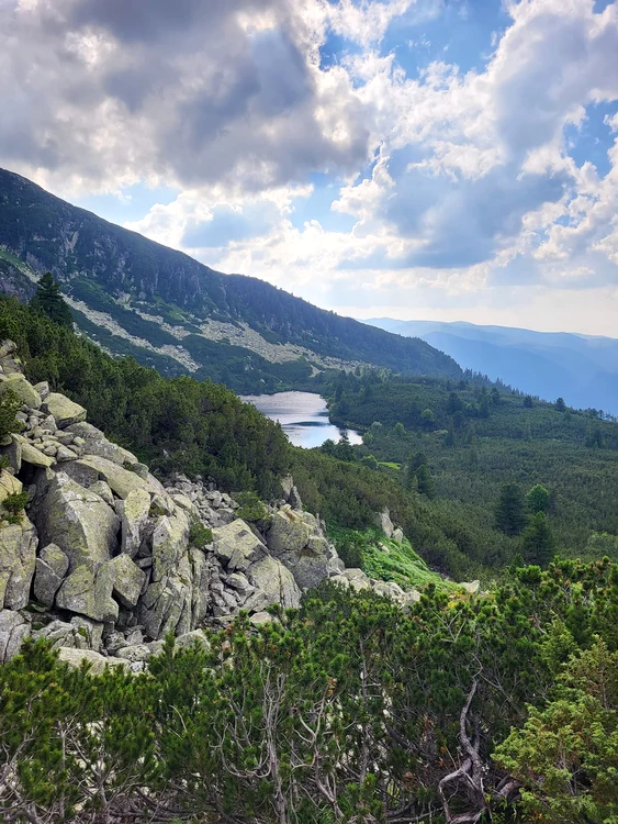 Rezerva'ia Gemenele. Foto: Ottmar Trașcă
