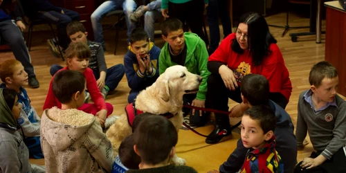 narcisa ioana este specialist in terapie asistata de animale