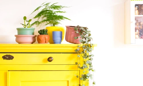 1 78450 original jpg jpeg