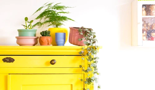 1 78450 original jpg jpeg