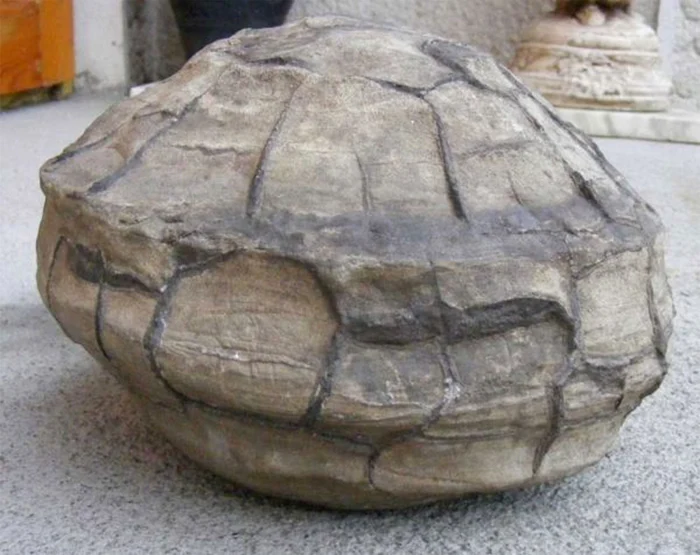 Profesorul Dumitru Ioniță a făcut senzaționalele descoperiri la poalele Ceahlăului