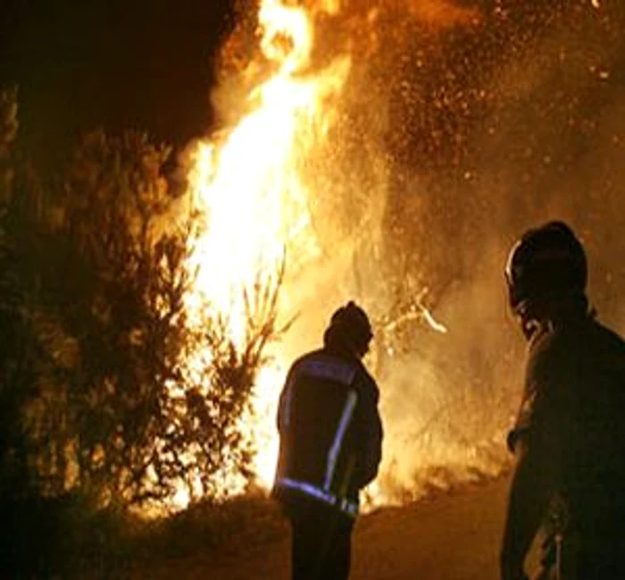Pompierii din Prahova se luptă de 24 de ore cu opt incendii care au afectat terenuri agricole şi plantaţii