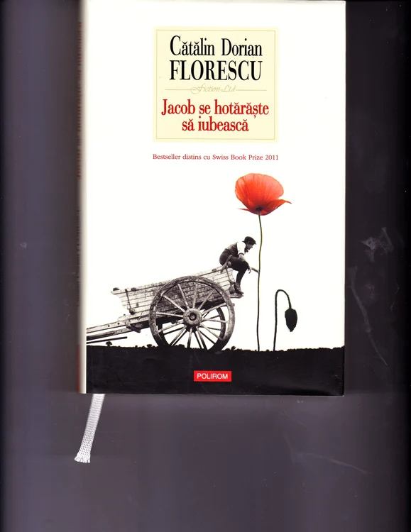 Coperta romanului "Jacob se hotărăşte să iubească", de Cătălin Dorian Florescu