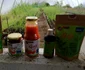 cultura goji