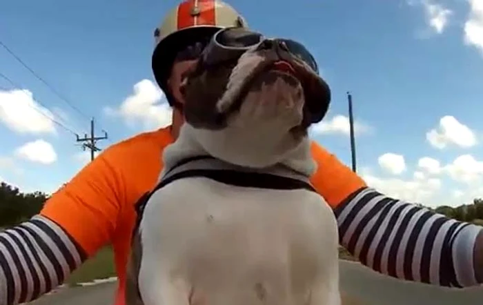 
    Îi salută pe ceilalţi participanţi la traficFoto: Captură Youtube  