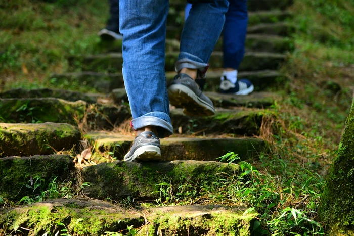 Dacă adăugăm urcatul scărilor vom eficientiza plimbarea FOTO: Pixabay