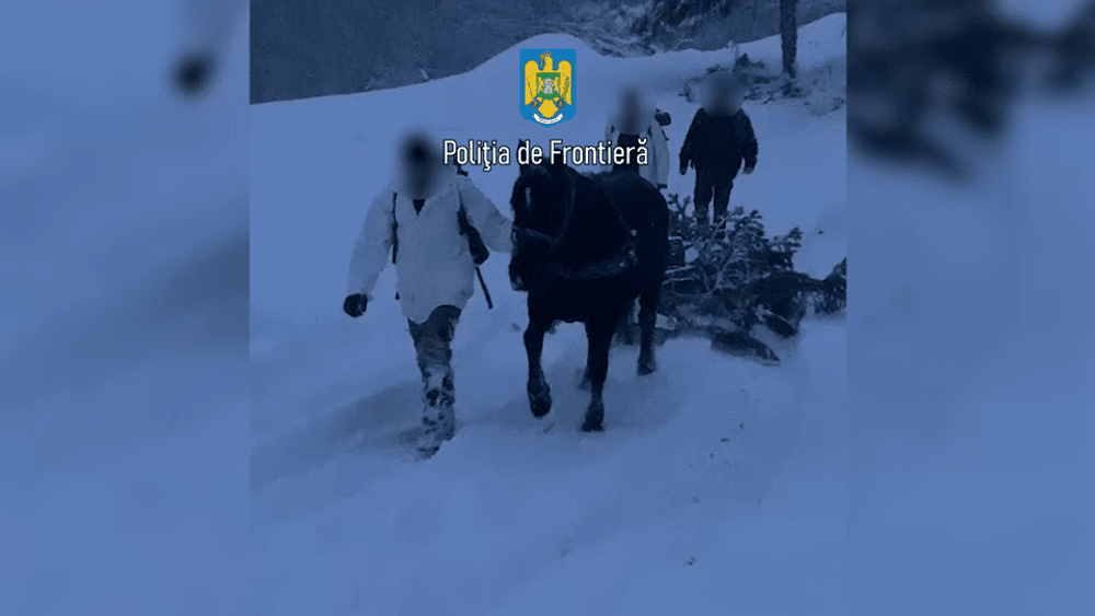 Țigări de contrabandă,transportate cu calul, la Valea Vișeului. După ce a fost prins, a sunat la 112 să reclame calul furat VIDEO