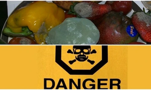 1 atentie la ce mananci inghitim peste 5 litri de pesticide pe an cum se elimina din organism d4zv jpg jpeg