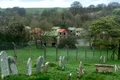 imber1 jpeg