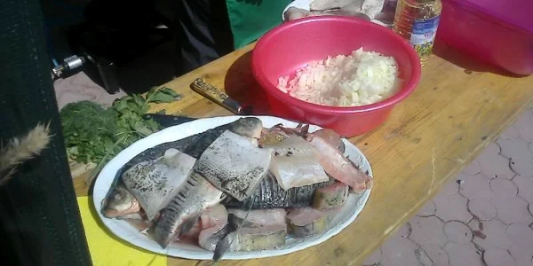 festival peste tulcea