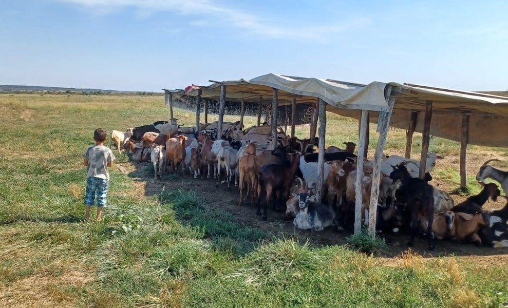 Povestea lui Ilie, un băiețel pentru care școala e a doua casă: „Cu ce am greșit de nu a venit și pe la mine Moș Nicolae?”