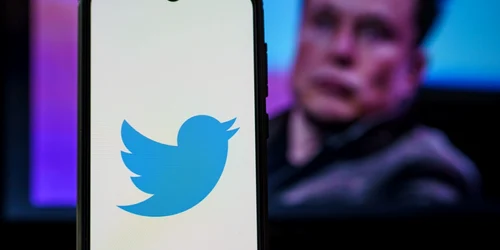 Twitter cu Elon Musk în fundal FOTO SHUTTERSTOCK