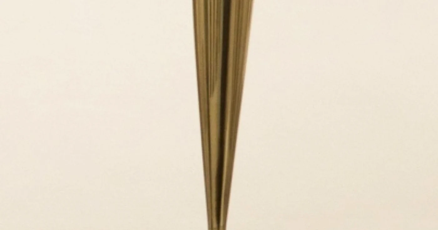 pasare in vazduh brancusi