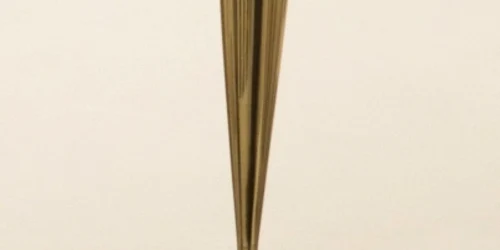 pasare in vazduh brancusi