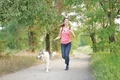 22 23 san shutterstock 485746873 jpeg