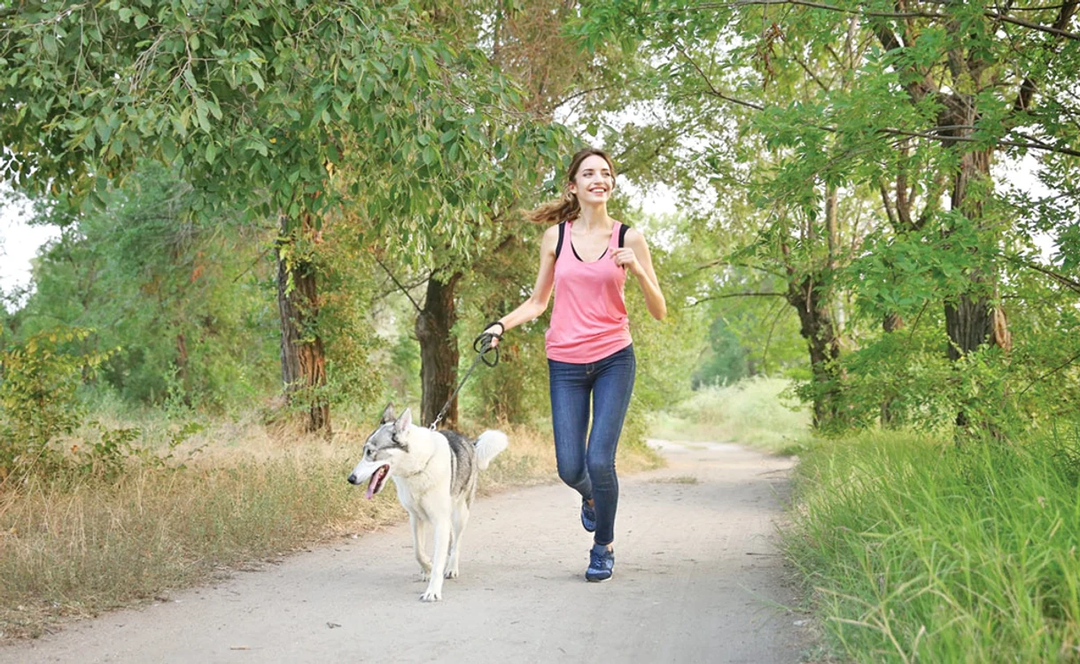 
    Plimbarea animalului  de companie este una  dintre activitățile  care te pot ajuta  să faci mișcare   