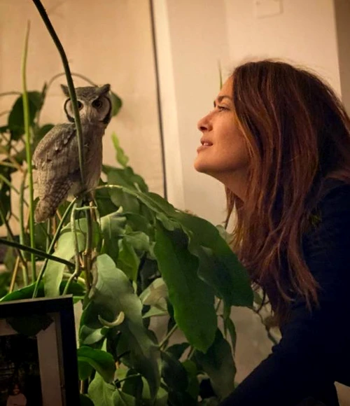 Actorul nu mai are bani să-i plătească pensia alimentară lui Grace Hightower