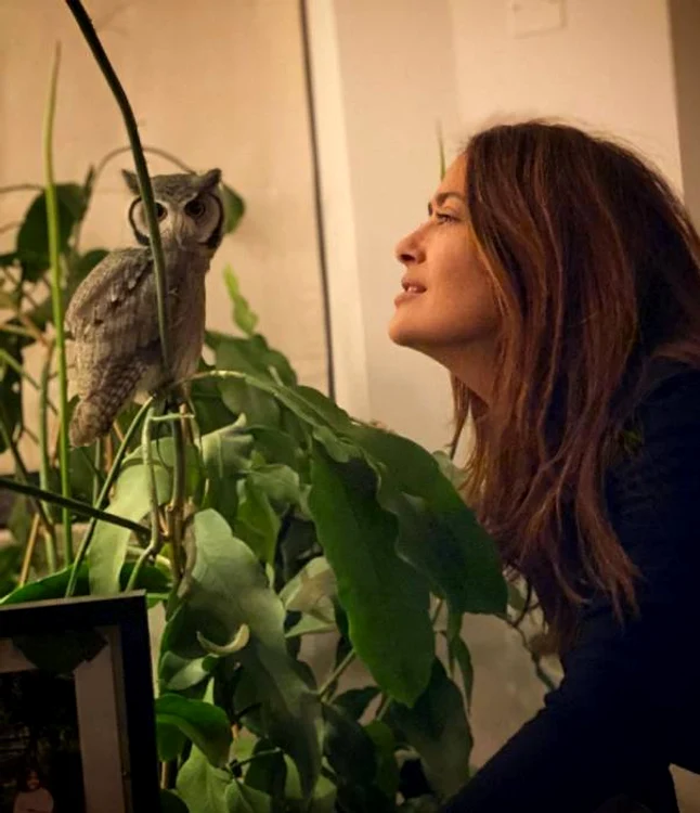 Actorul nu mai are bani să-i plătească  pensia alimentară lui Grace Hightower 