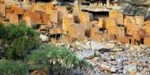 case mali shutterstock